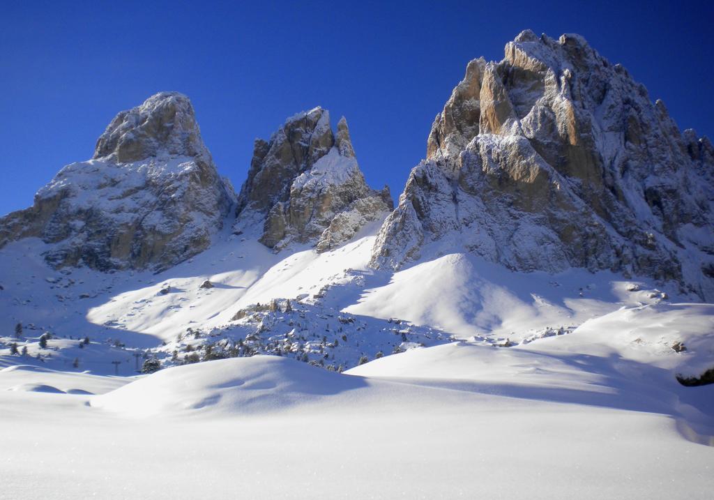 Residence Villa Artic Campitello di Fassa Buitenkant foto